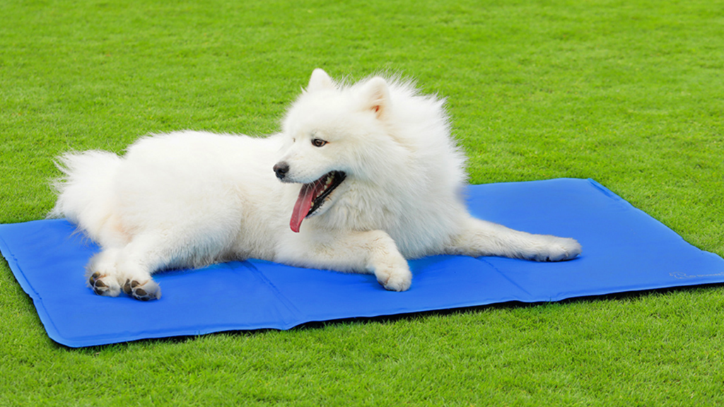 alfombra para perros alfombra para perros